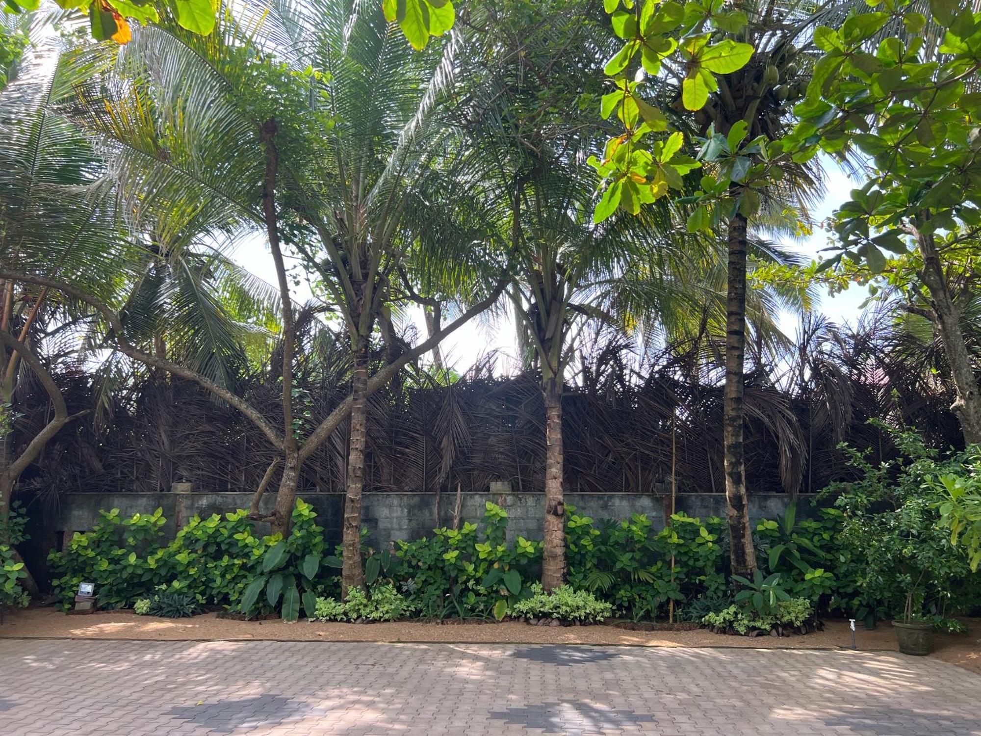 Lohas Beach Resort Villa Kalutara Exterior foto